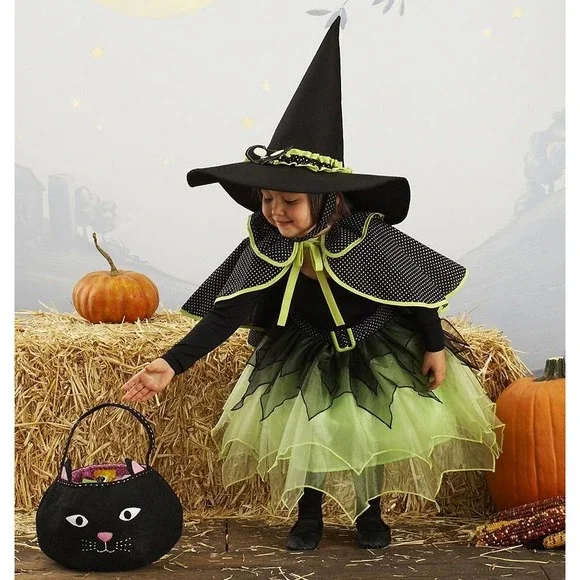 Pottery Barn Kids Witch Halloween Costume 4-6 Green Tulle Cat Hat Cape Skirt