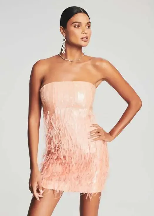 Retrofete Anastasia Sequin Feather Dress in Peach Size XS NWT
