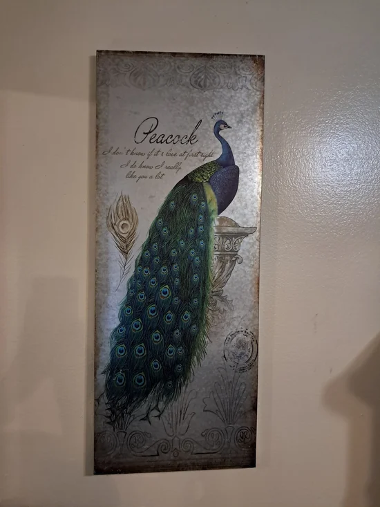 Peacock Wall Art Print in Green and Blue