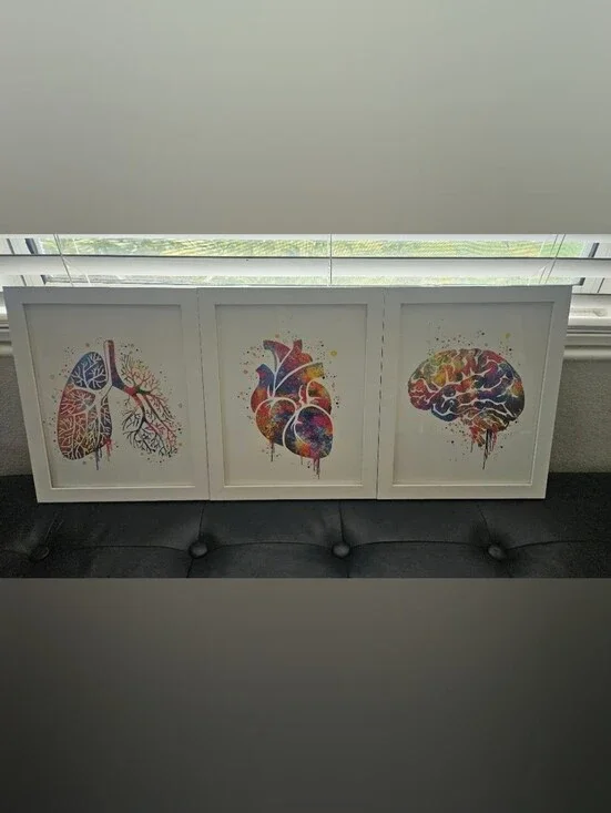 Multicolor Anatomical Art Prints - Lungs, Heart & Brain Wall Decor
