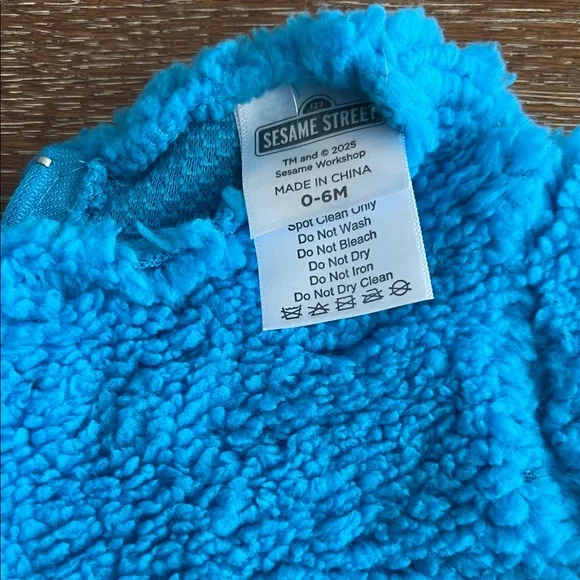 Sesame Street Cookie Monster costume