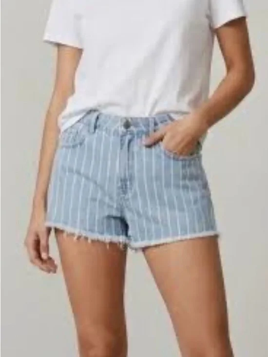 Zara Blue Striped Denim Shorts