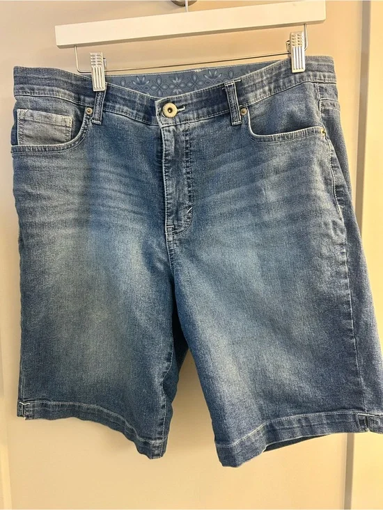 Faded Glory Blue Denim Shorts