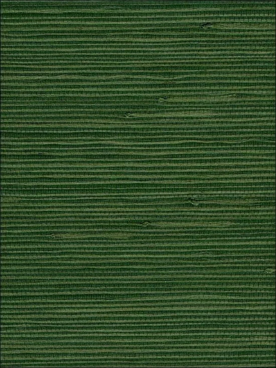 New Anthropologie x Seabrook NA305 Jute Green Grasscloth Wallpaper