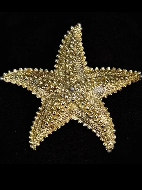 Vintage aged, goldtone raised Starfish Brooch Pin
