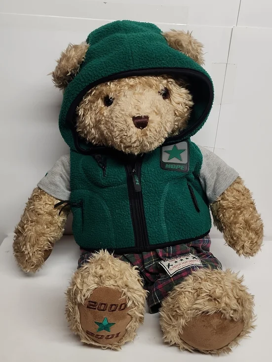 GUND 2000 2001 Wish  Teddy Bear HOPE Green Hooded Vest - LIMITED EDITION hugs!
