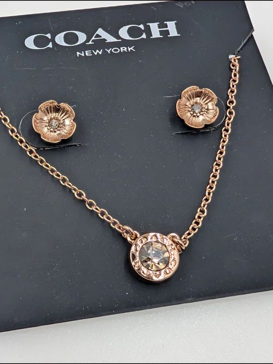Coach Rose Gold Floral Crystal Necklace and Studs Set
