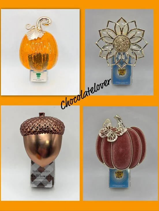 Bath and Body Works Fall Wallflowers Plug ins Bundle NEW!!