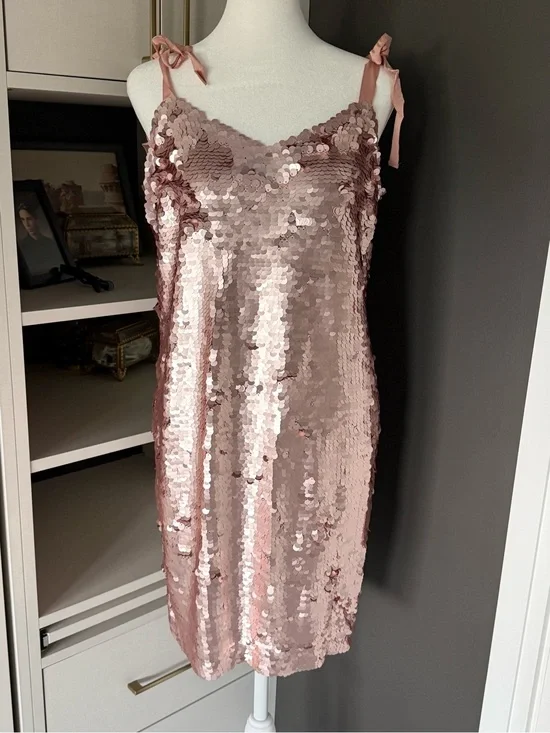 J. Crew Rose Gold Sequin Slip Dress