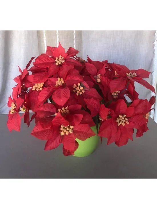 Christmas Poinsettia Arrangement