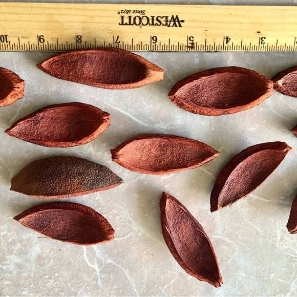 Burnt Orange Wooden Pieces 20 Set