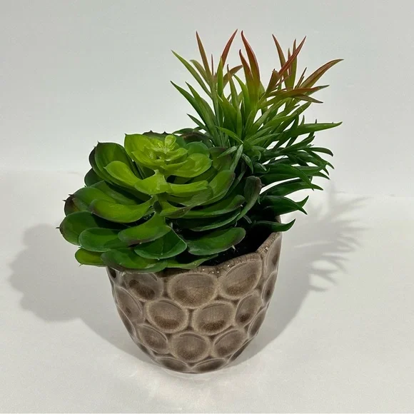 Ceramic Potted Faux Succulents Artificial Plant Decor