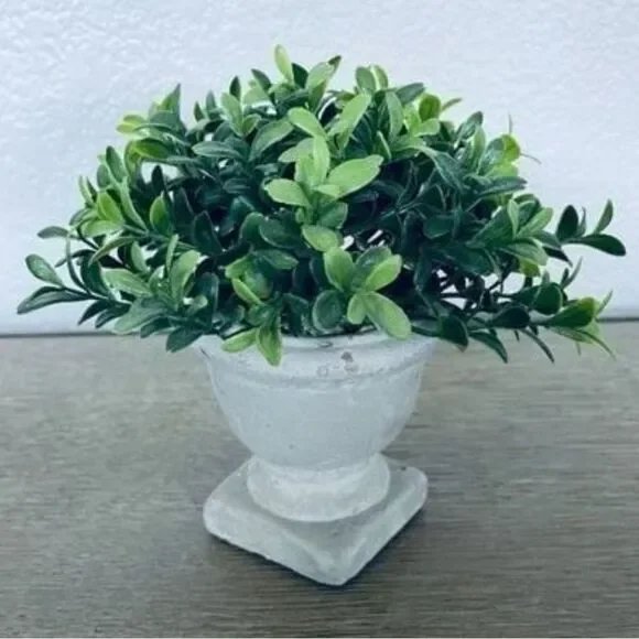 Eucalyptus Greenery Plant Gray Planter Pot