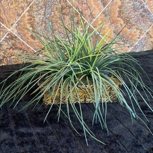 Decorative Green Faux Plant in Brown and Golden Fluer de Lils Planter