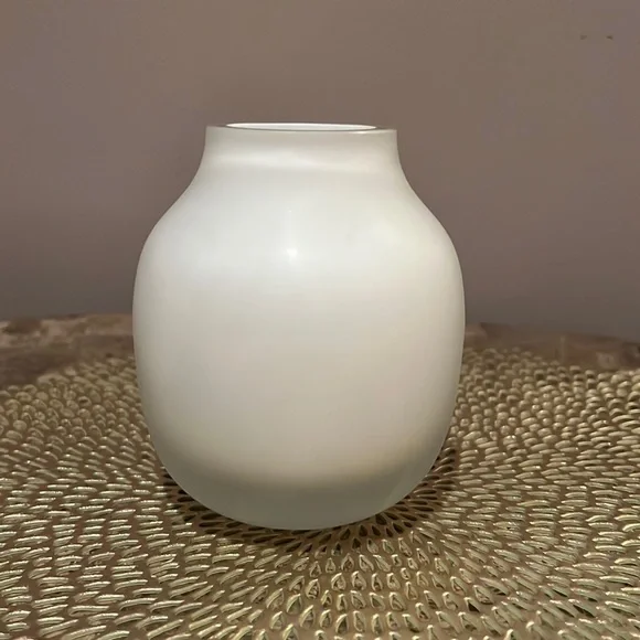 West Elm Frosted Glass Vase
