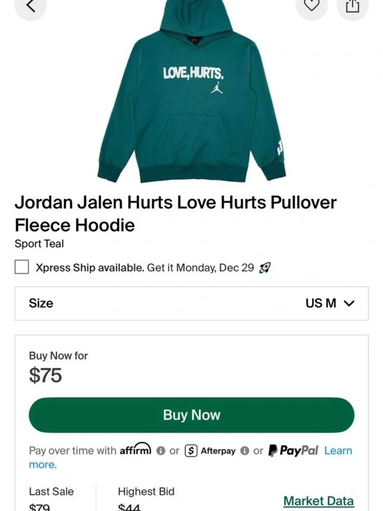 Jordan Pullover Hoodie in Teal with 