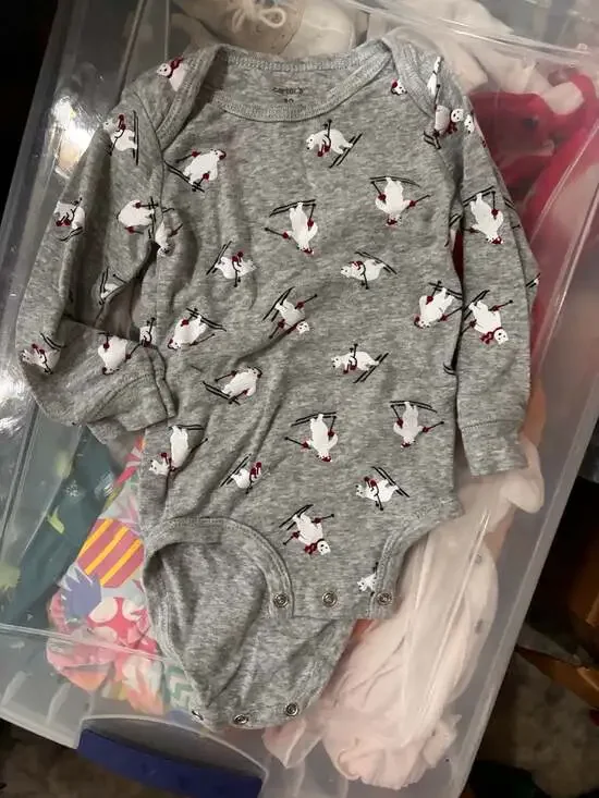 Carter's Baby Boys Long-Sleeve Polar Bear Skiing Print Bodysuit