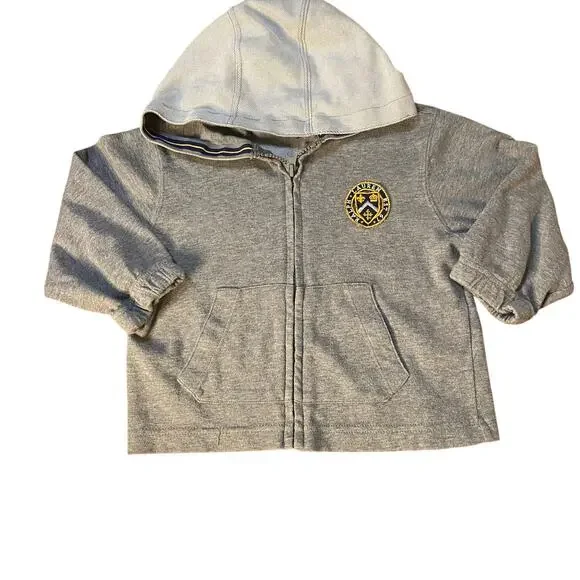 Ralph Lauren light‎ gray full zip logo patch hooded toddler sweatshirt SIZE 3T