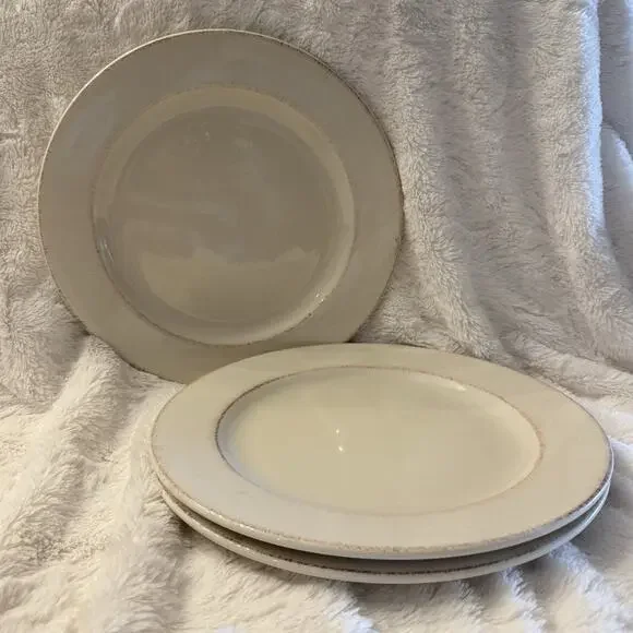 (3) Pier 1 Toscana Ivory Handpainted Italy Dinner Plates 11