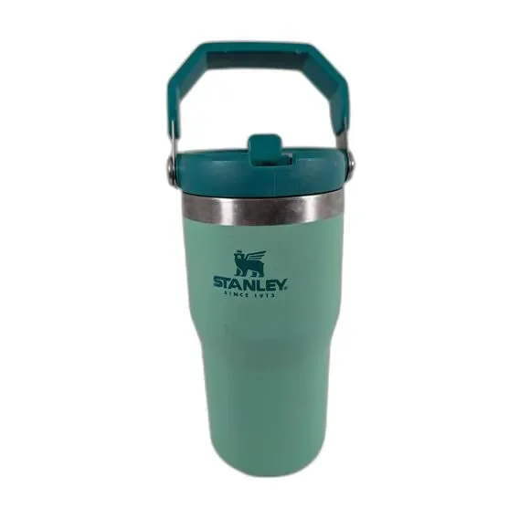Stanley IceFlow 20 oz Flip Straw Tumbler Seafoam Green Handle 20-03001