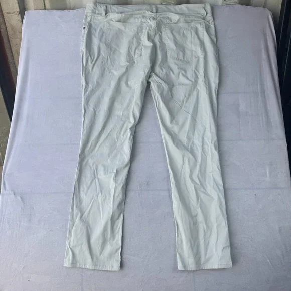 Tailor Vintage New Canaan Slim Fit Pants Men 42x32 Gray Casual Comfort Stretch