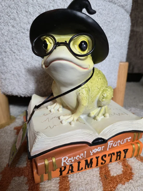 Halloween Witch Frog Figurine Decor Toad on Stacked Books Statue NWT