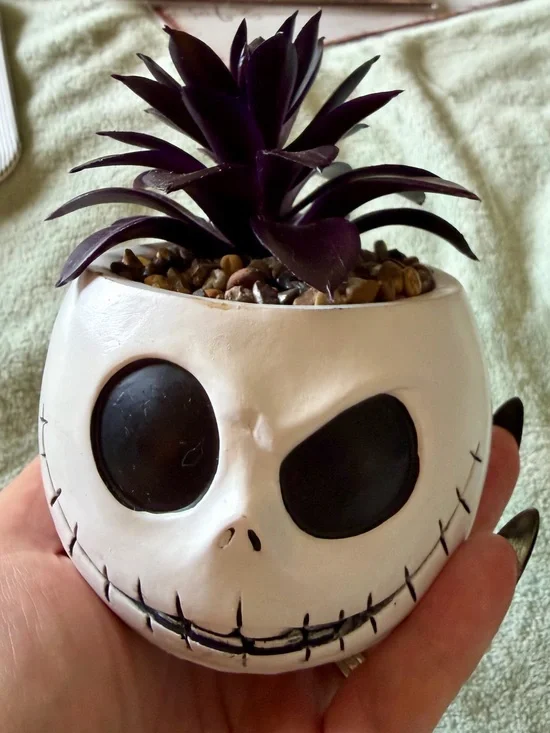NWT Disney The Nightmare Before Christmas Jack Skellington Faux succulent