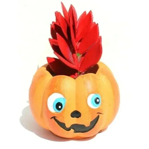 NEW Orange Happy Halloween Pumpkin Ceramic Planter Plot W/ Succulents