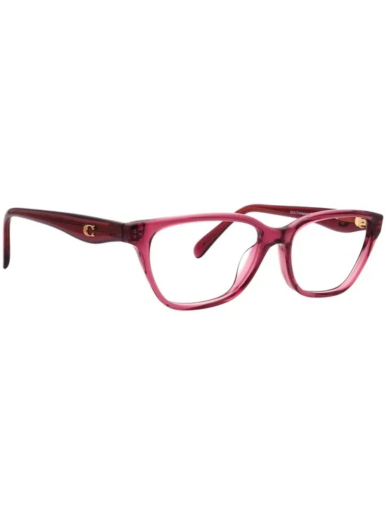Coach HC 6243U 5824 Eyewear