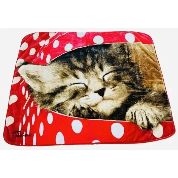 Greg Cuddiford Plush Blanket Kitten Polka Dot Box Northwest 50 x 60 Cat Kawaii