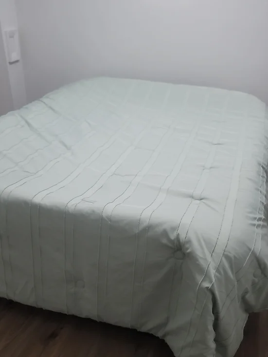 Soft Mint Green Comforter With Matching Sheet Set- King