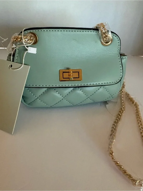 NWT Mint Green Quilted Mini Crossbody Bag Gold Chain Accent