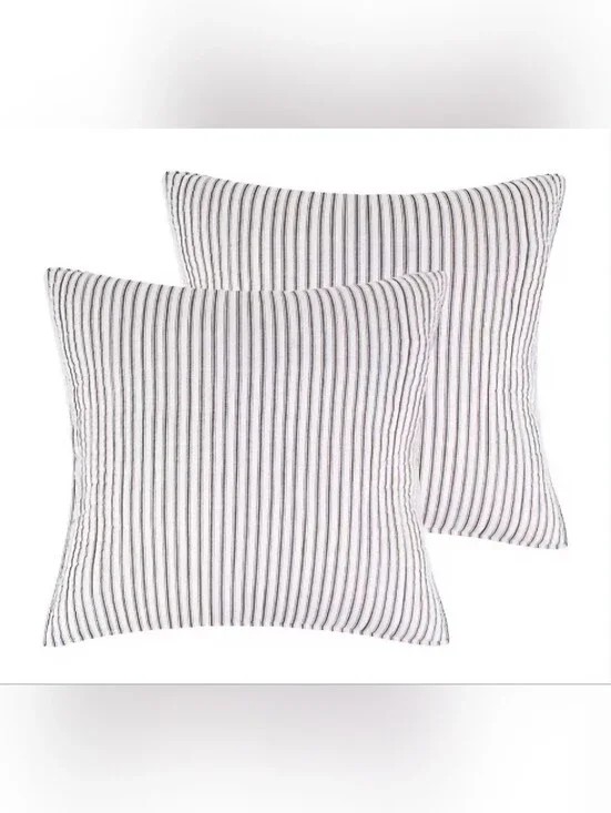 Tobago Stripe Charcoal Euro Sham Set of Two 26