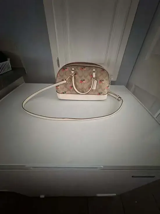 Coach Mini Sierra Satchel Strawberry Print