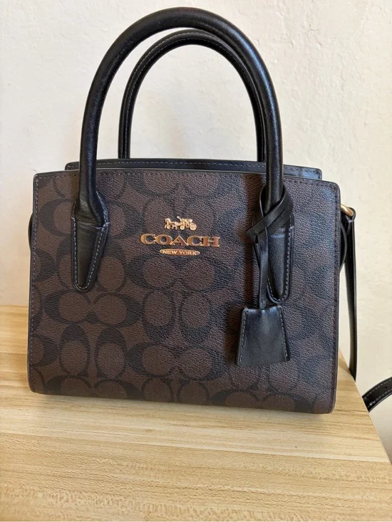 Coach Andrea Carryall Signature Canvas Satchel