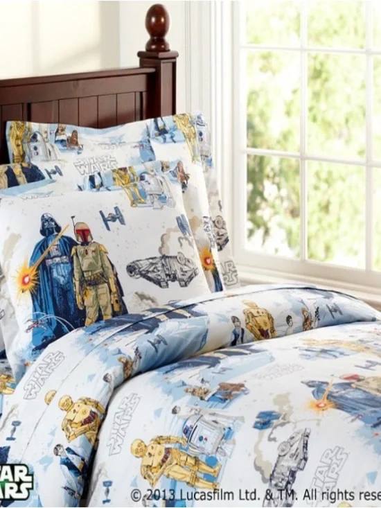 Pottery Barn Star Wars: The Empire Strikes Back flat sheet and pillow case