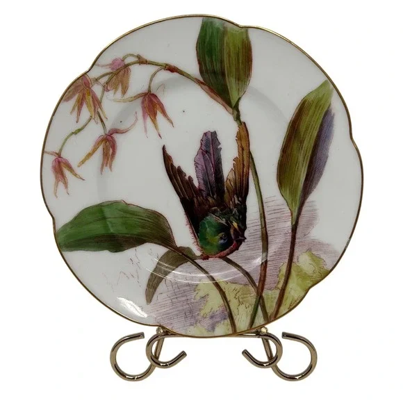 Antique Painted Porcelain Hummingbird Scalloped Cabinet Plate Gold Trim 8.5 Inch