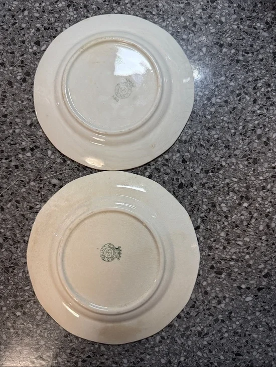 Vintage Theodore Haviland Limoges Floral Plates Set of 2