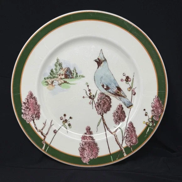 Vintage Syracuse Nature Study Cedar Waxwing Dinner Plate Homestead Virginia READ