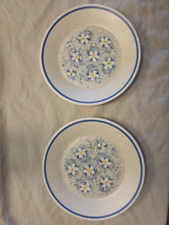 Lenox Vintage Temper-ware  Stoneware Salad Plate Plates Set of 2 Dewdrops