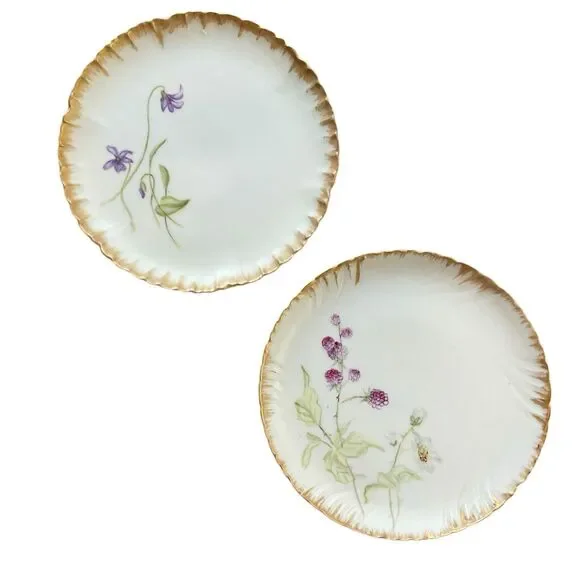 Haviland 1870-1890 Decorative Floral Plates France 7” Set of 2