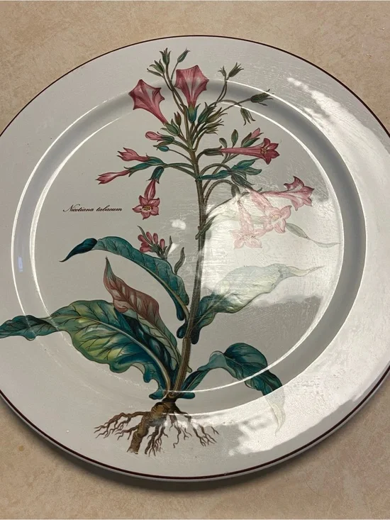 Villeroy & Boch Botanica Nicotiana Tabacum 12.5” Chop Plate Platter Porcelain  E