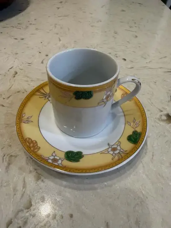 Casati Fine Porcelain Aramco demitasse I Germany Cup and Saucer