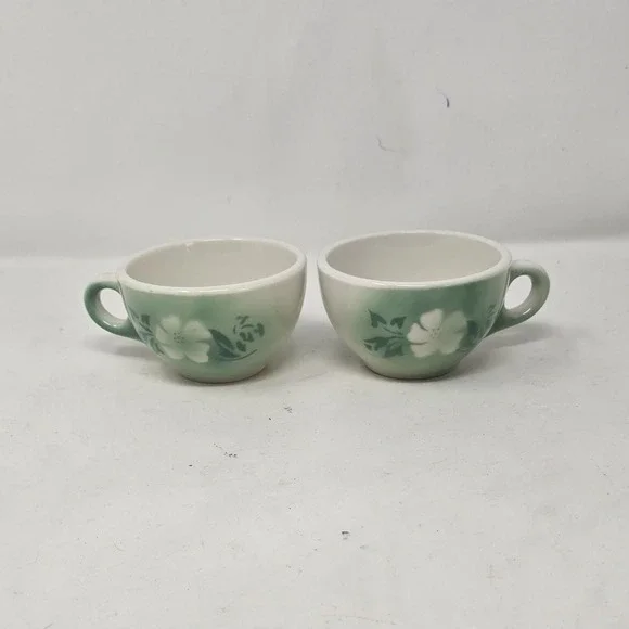 Vtg Syracuse china‎ Millbrook airbrush flower coffee cup cottagecore set of 2