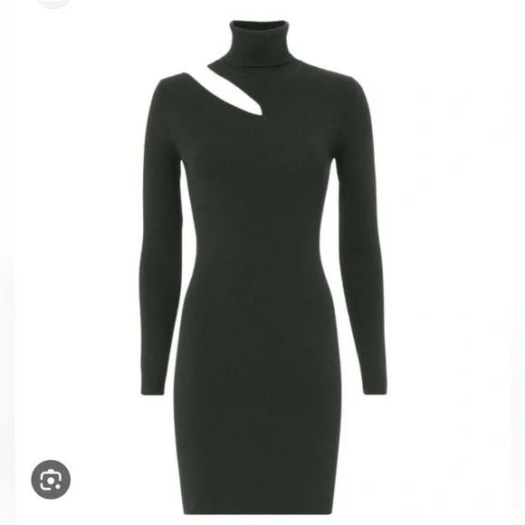 A.L.C West Turtle Neck Sweater Dress!