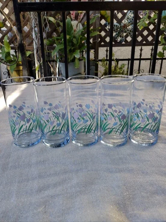 Set of 5 Vintage Libbey Springtime Purple & Blue Flower Glasses
