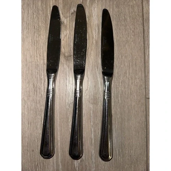 3 Pfaltzgraff PROVIDENCE Stainless Flatware Glossy Dinner Knives 9