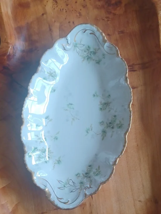 Antique Theodore Haviland Limoges France Porcelain Relish Dish - Green Floral