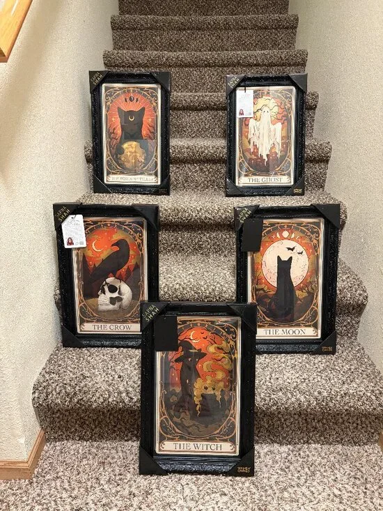 Viral Sapna Shah Halloween Tarot Wall Art 5PC Black Cat Witch Ghost Crow NWT