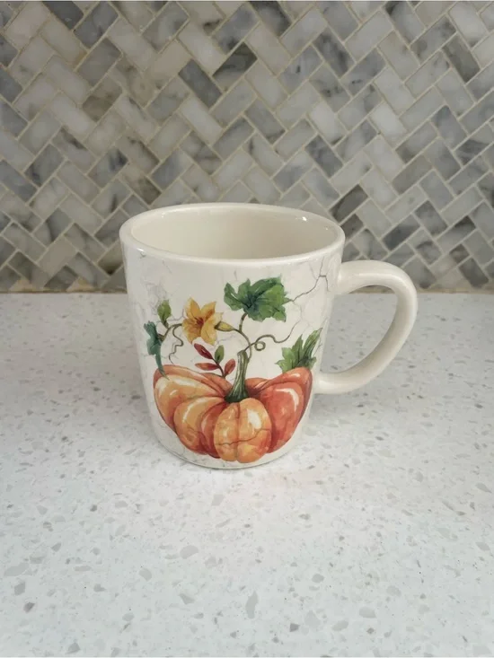 Cost Plus World Market Fall Autumn Pumpkin Ceramic Mug